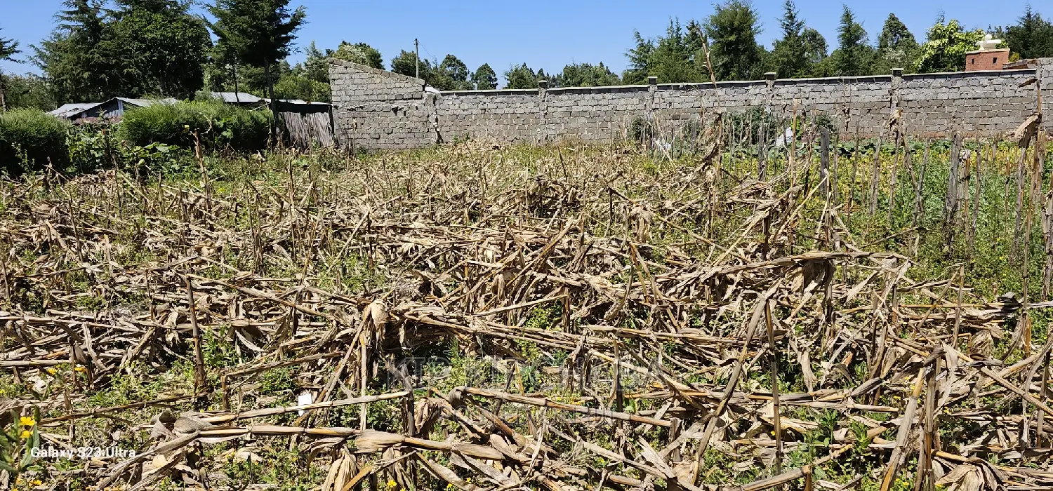 Plot Sale in Chepkanga Eldoret: 2 Acres Waiting for You in Kimumu