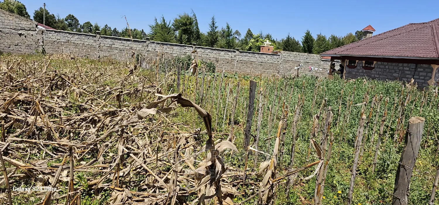 Plot Sale in Chepkanga Eldoret: 2 Acres Waiting for You in Kimumu