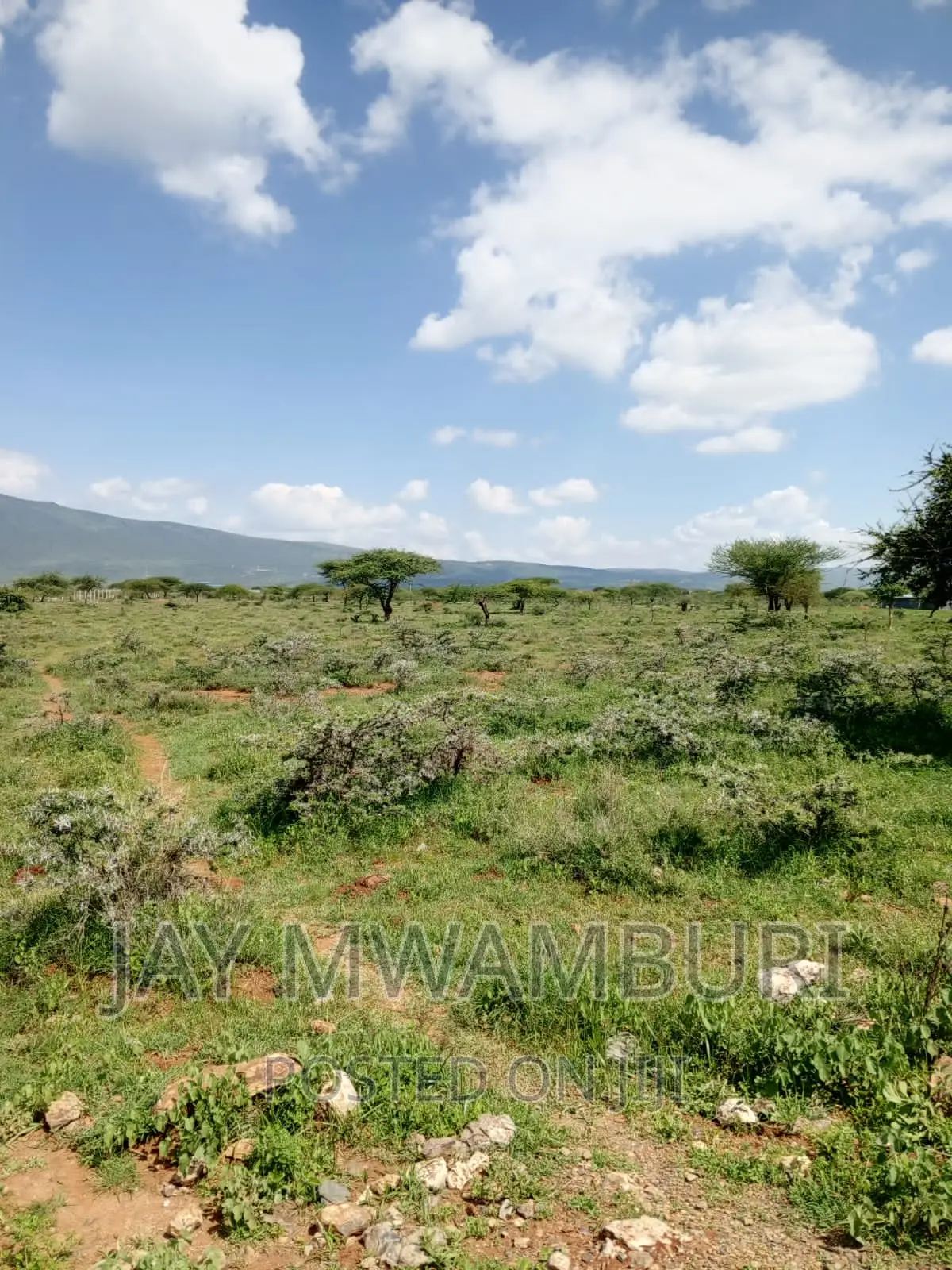 50 By100 Plot Katani in Katani