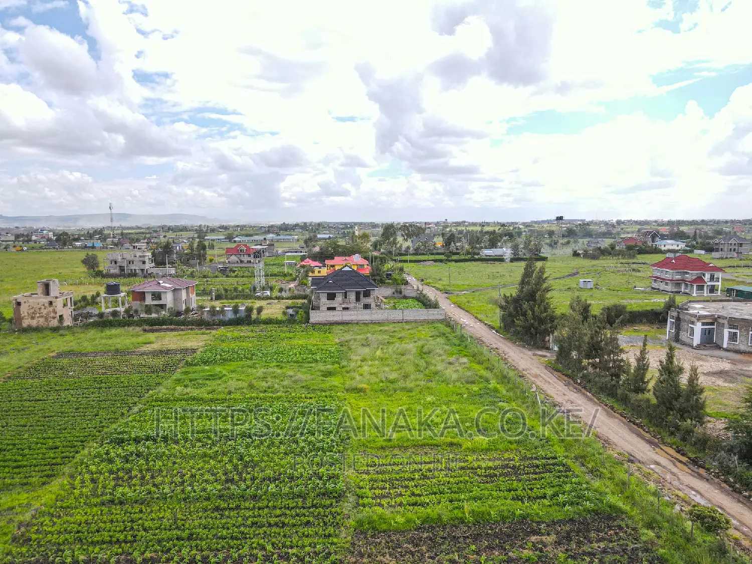 Invest in 50 by 100 Plots in Syokimau-Katani in Katani