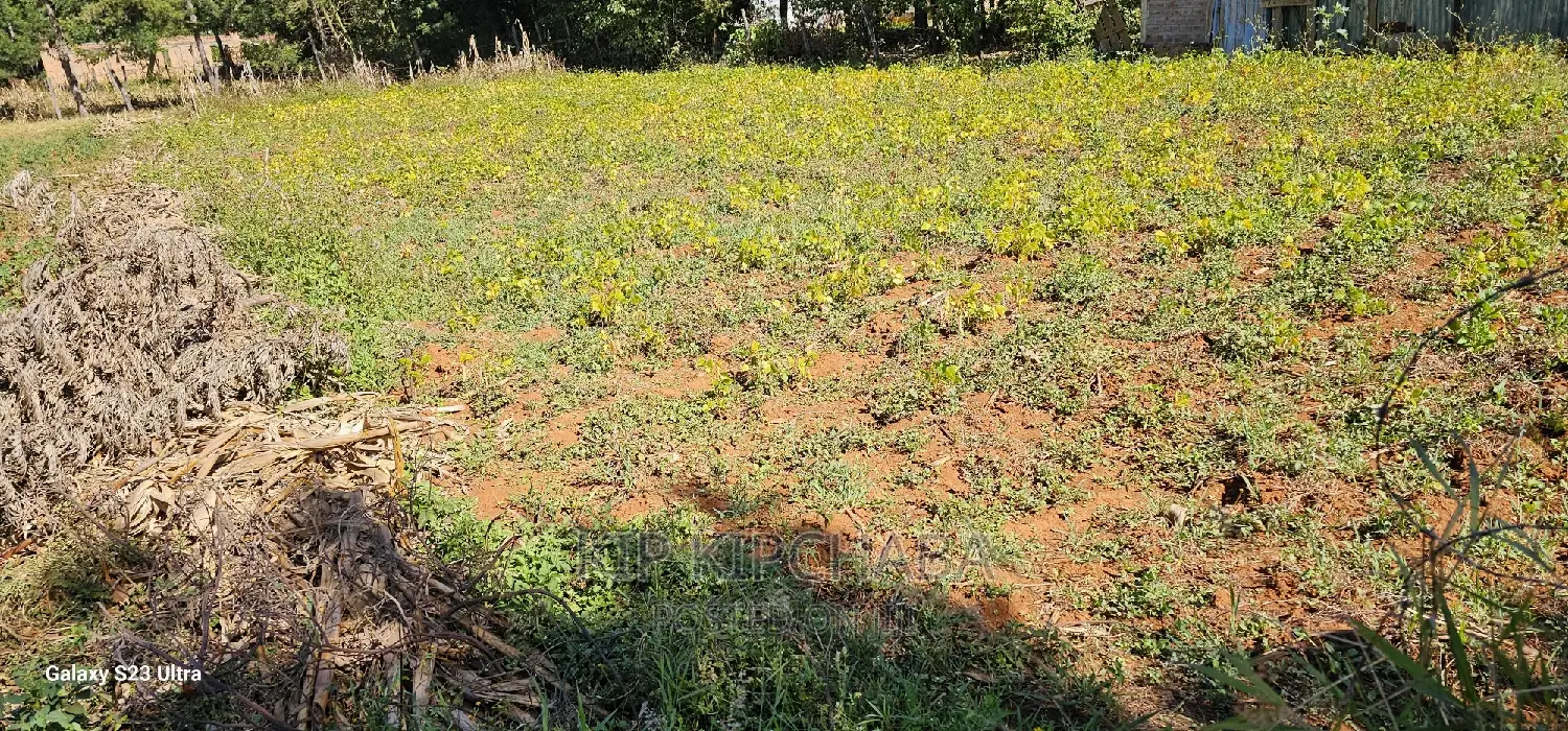 Chepkanga Eldoret: Prime Plot for Sale - Your Dream Land Awaits in Kimumu