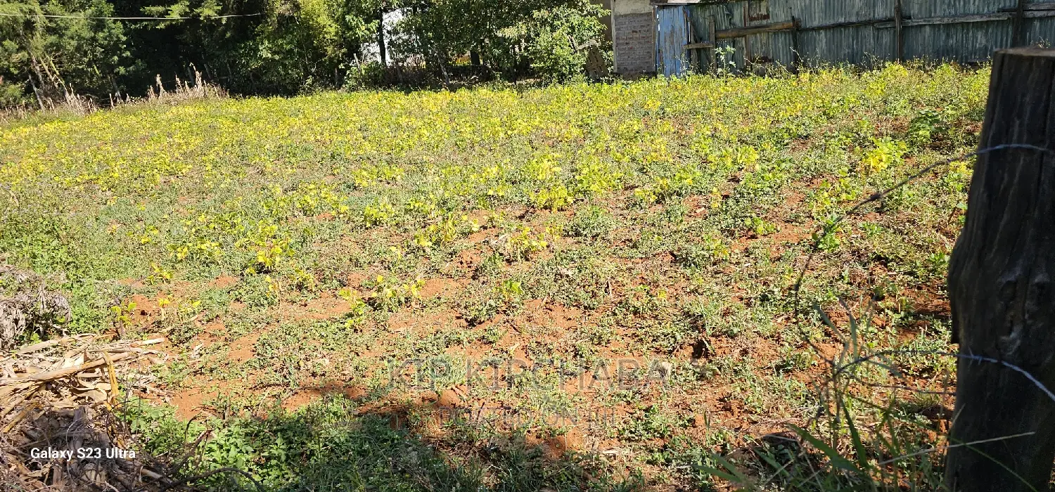 Chepkanga Eldoret: Prime Plot for Sale - Your Dream Land Awaits in Kimumu