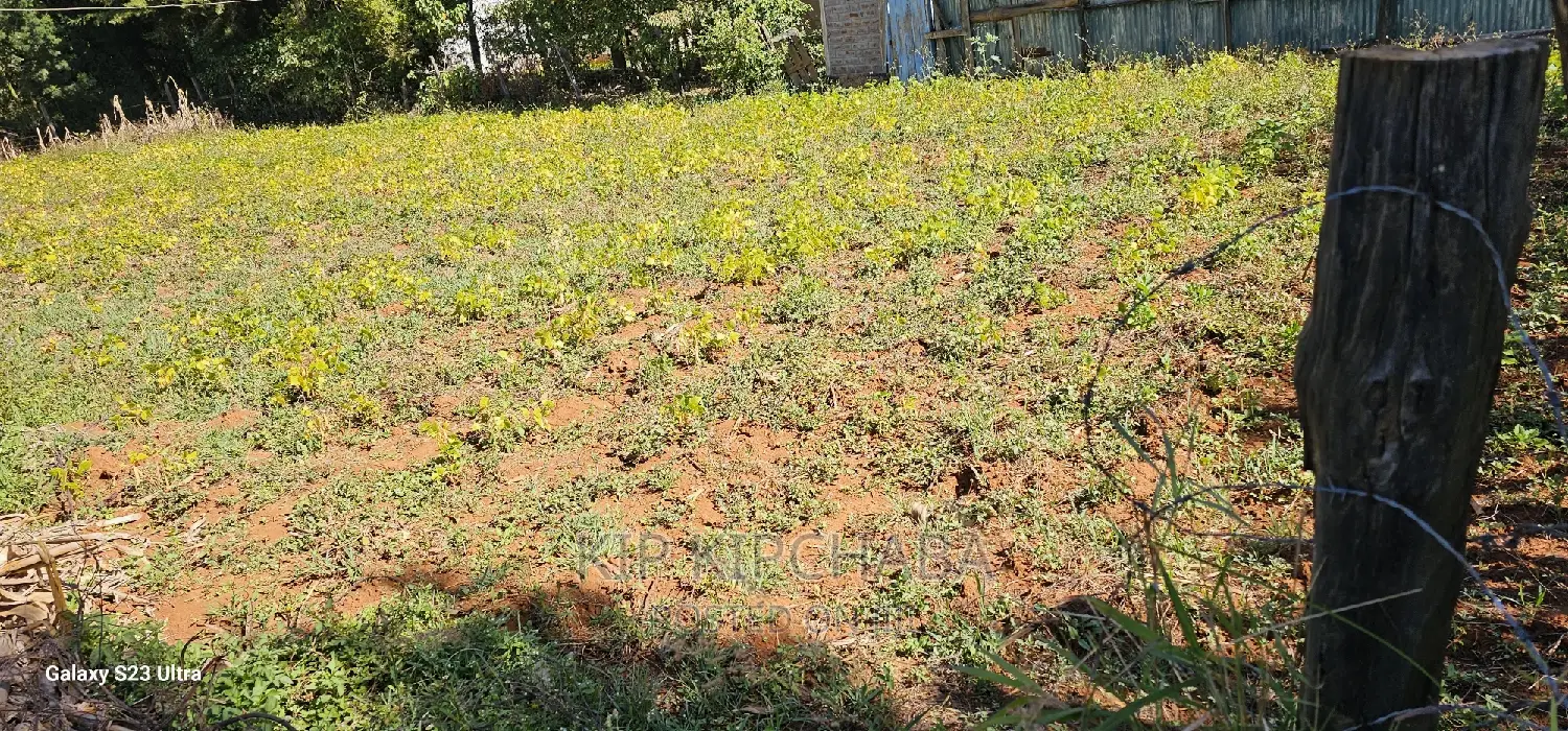 Chepkanga Eldoret: Prime Plot for Sale - Your Dream Land Awaits in Kimumu