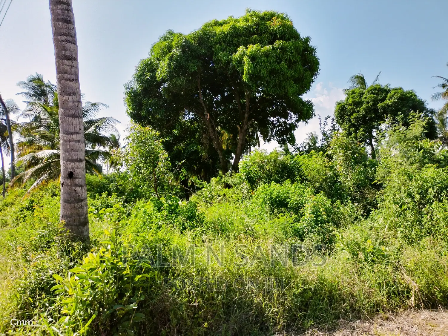 Diani's Commercial Land: One Acre for Sale in Ukunda