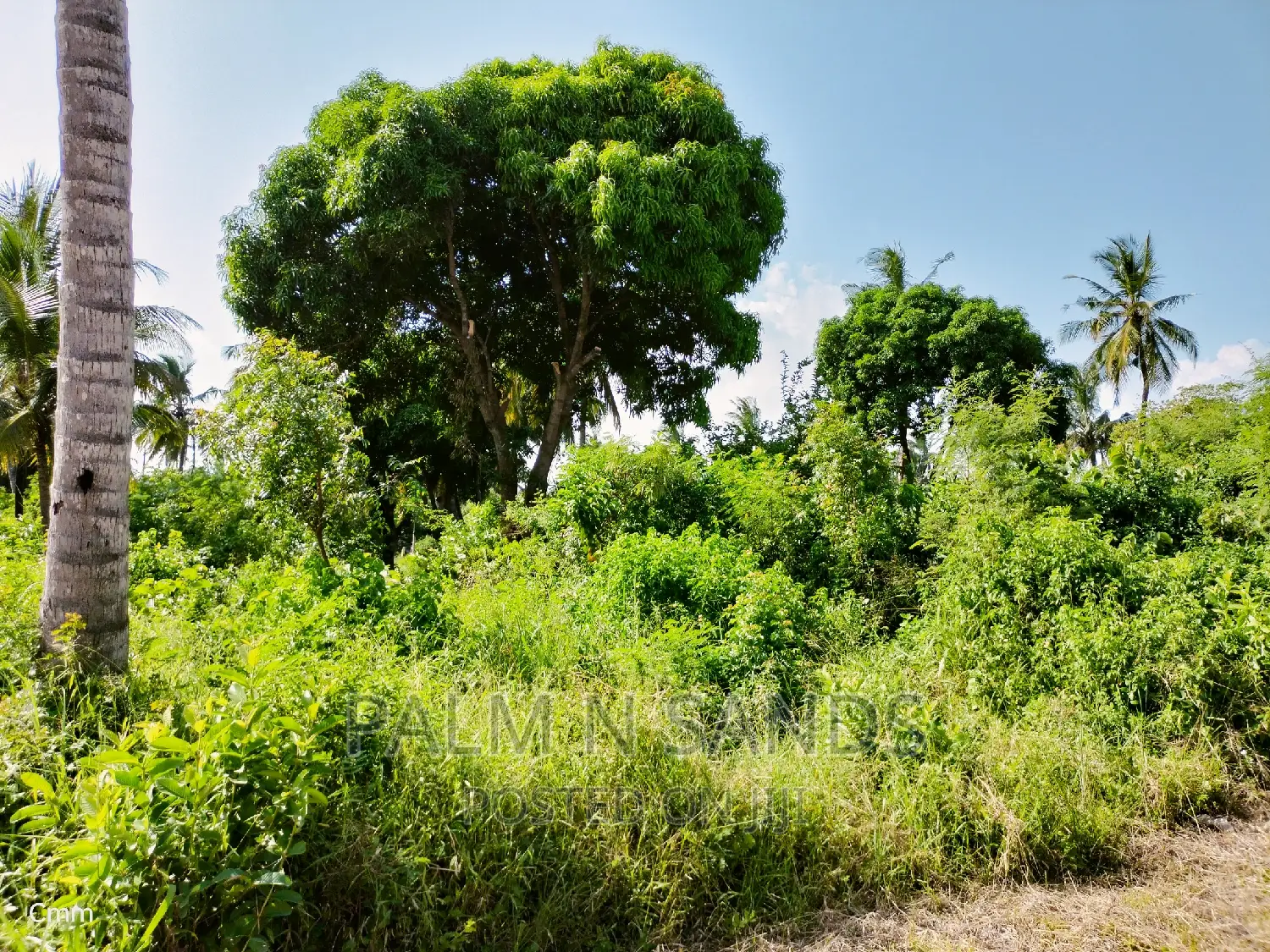 Diani's Commercial Land: One Acre for Sale in Ukunda