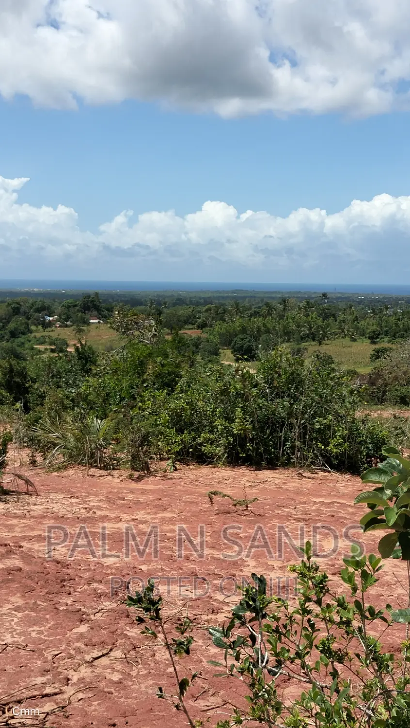 Golini Ridge Land - 4 Acre Prime Real Estate Opportunity in Tsimba Golini
