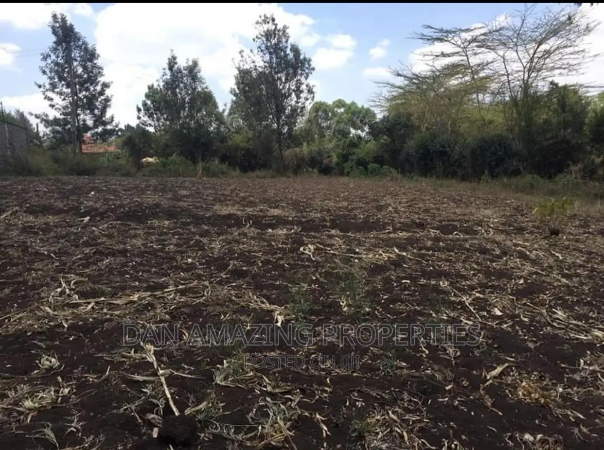 Affordable 1/2 Acre Land Sale in Ngong Olepolos in Ole Polos