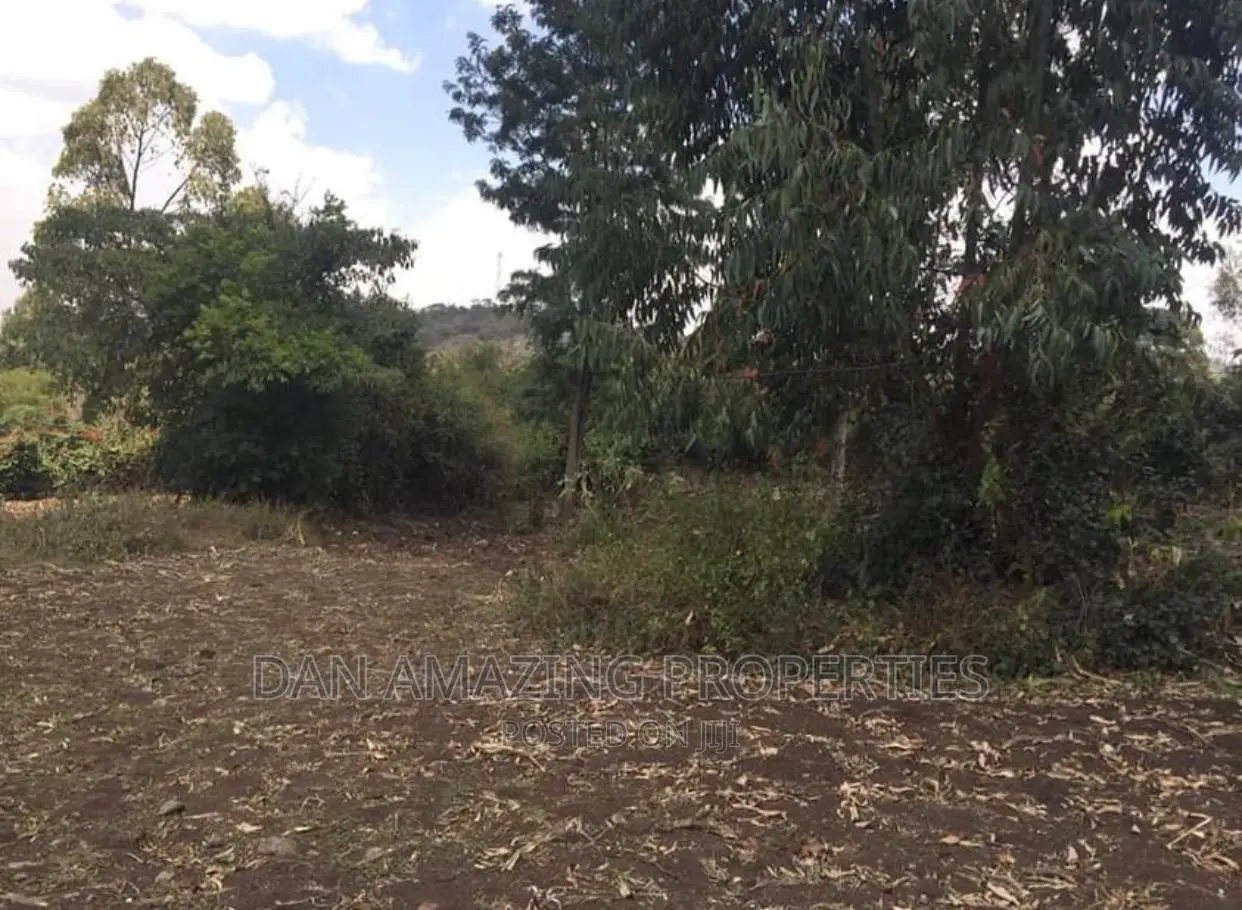 Affordable 1/2 Acre Land Sale in Ngong Olepolos in Ole Polos