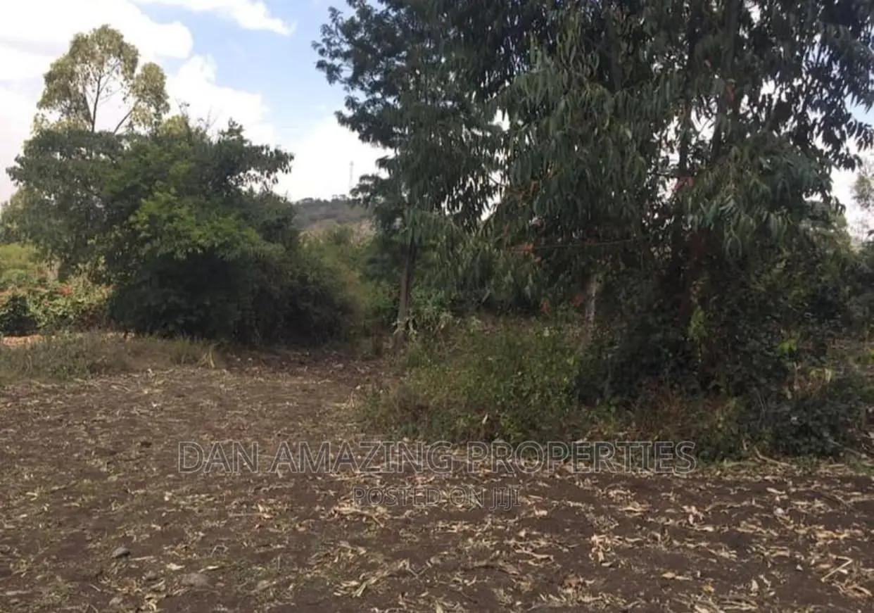 Affordable 1/2 Acre Land Sale in Ngong Olepolos in Ole Polos