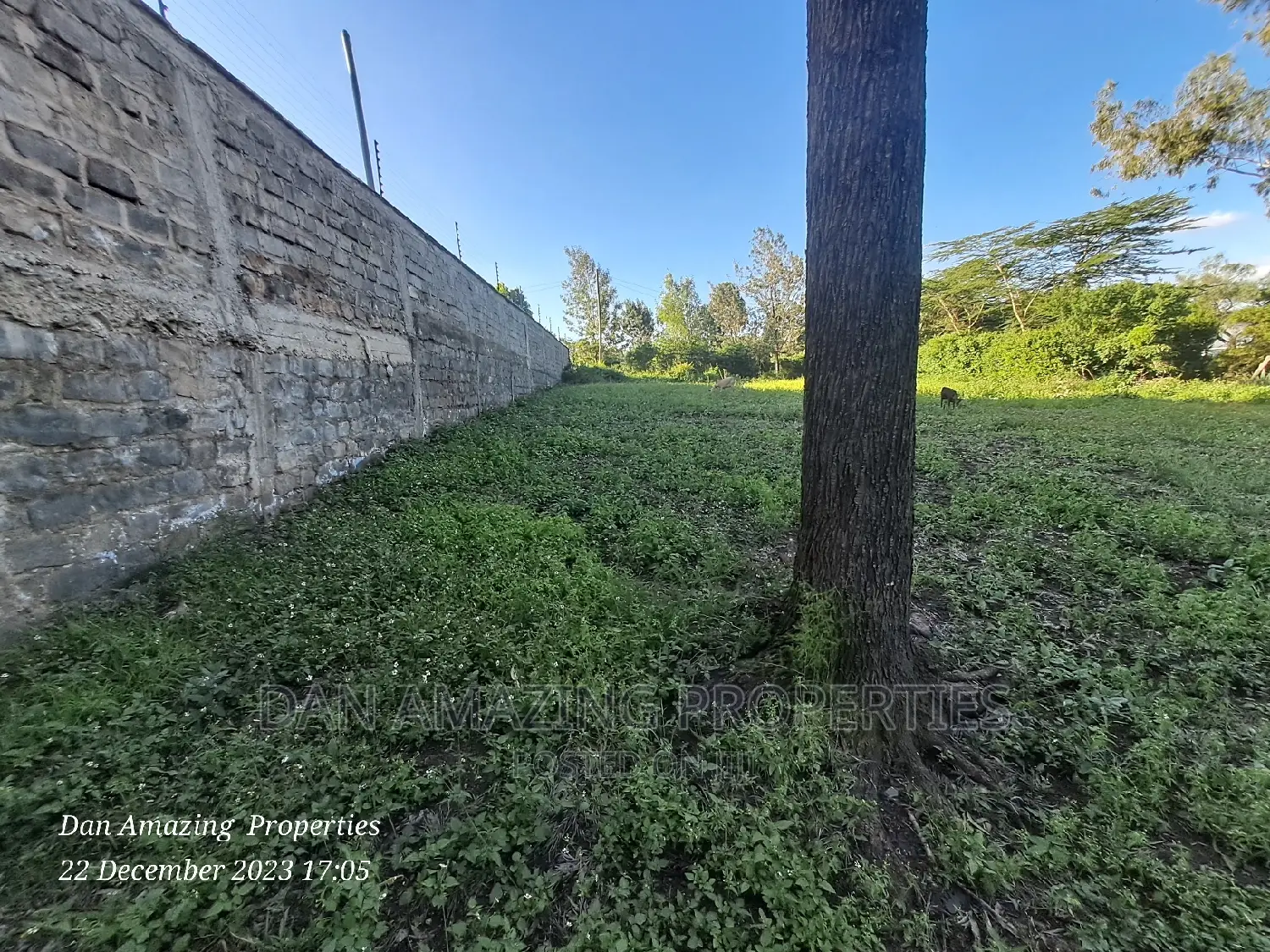 Affordable 1/2 Acre Land Sale in Ngong Olepolos in Ole Polos