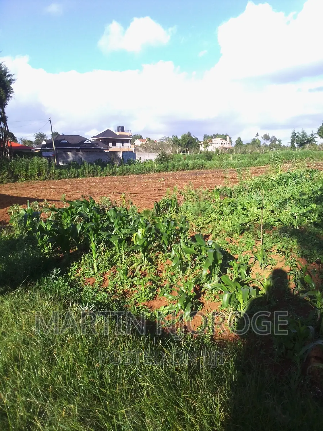 1⁄8 Murengeti in Limuru CBD