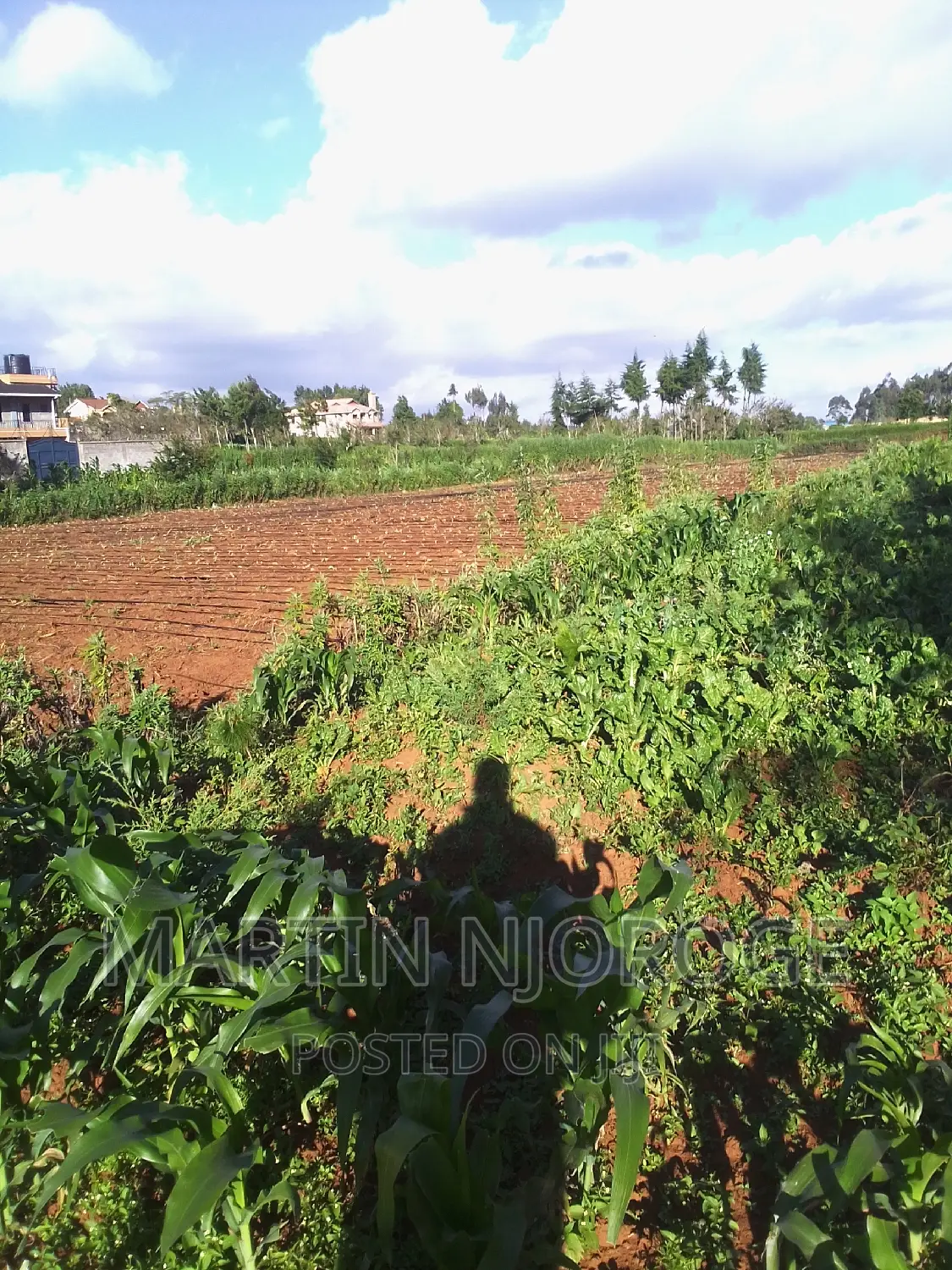 1⁄8 Murengeti in Limuru CBD