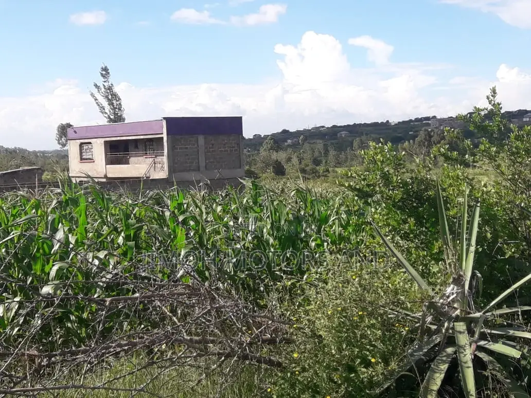 Kiganjo Thika - 40 by 80 Plot for Sale Near Kamuthi - 6m in Westlands