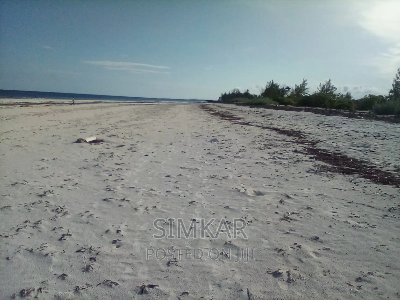 Exquisite 50-Acre Beachfront Property in Bofa - Up for Sale in Kilifi Town