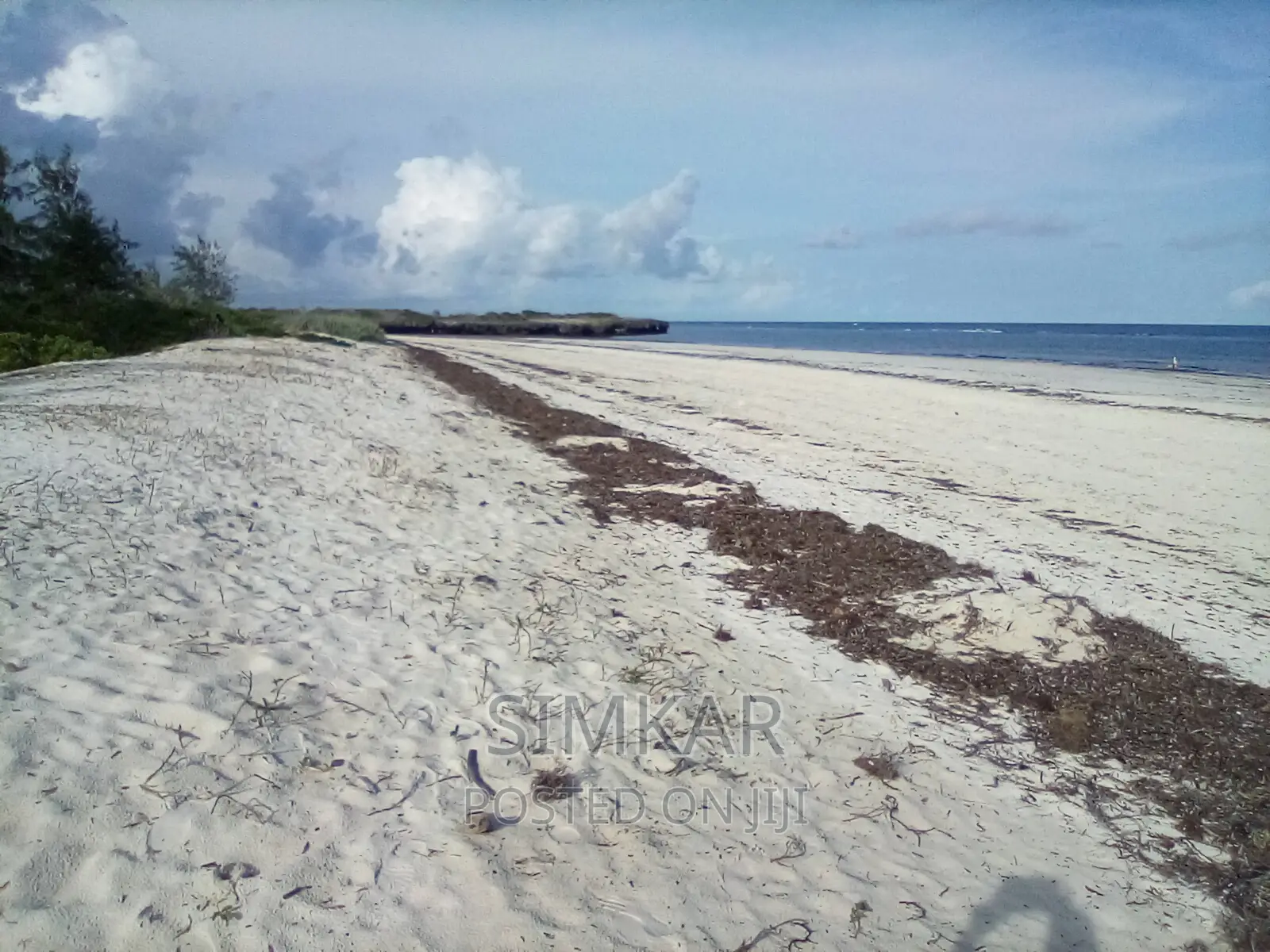 Exquisite 50-Acre Beachfront Property in Bofa - Up for Sale in Kilifi Town