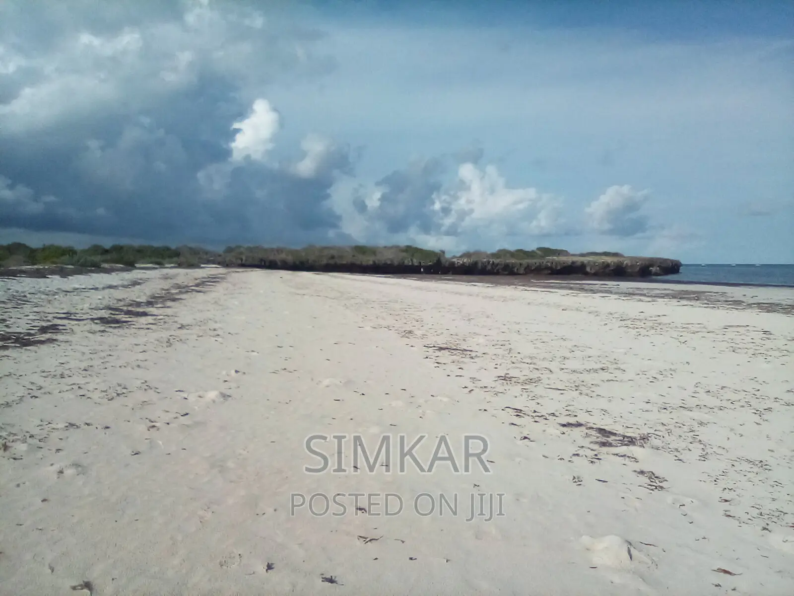 Exquisite 50-Acre Beachfront Property in Bofa - Up for Sale in Kilifi Town