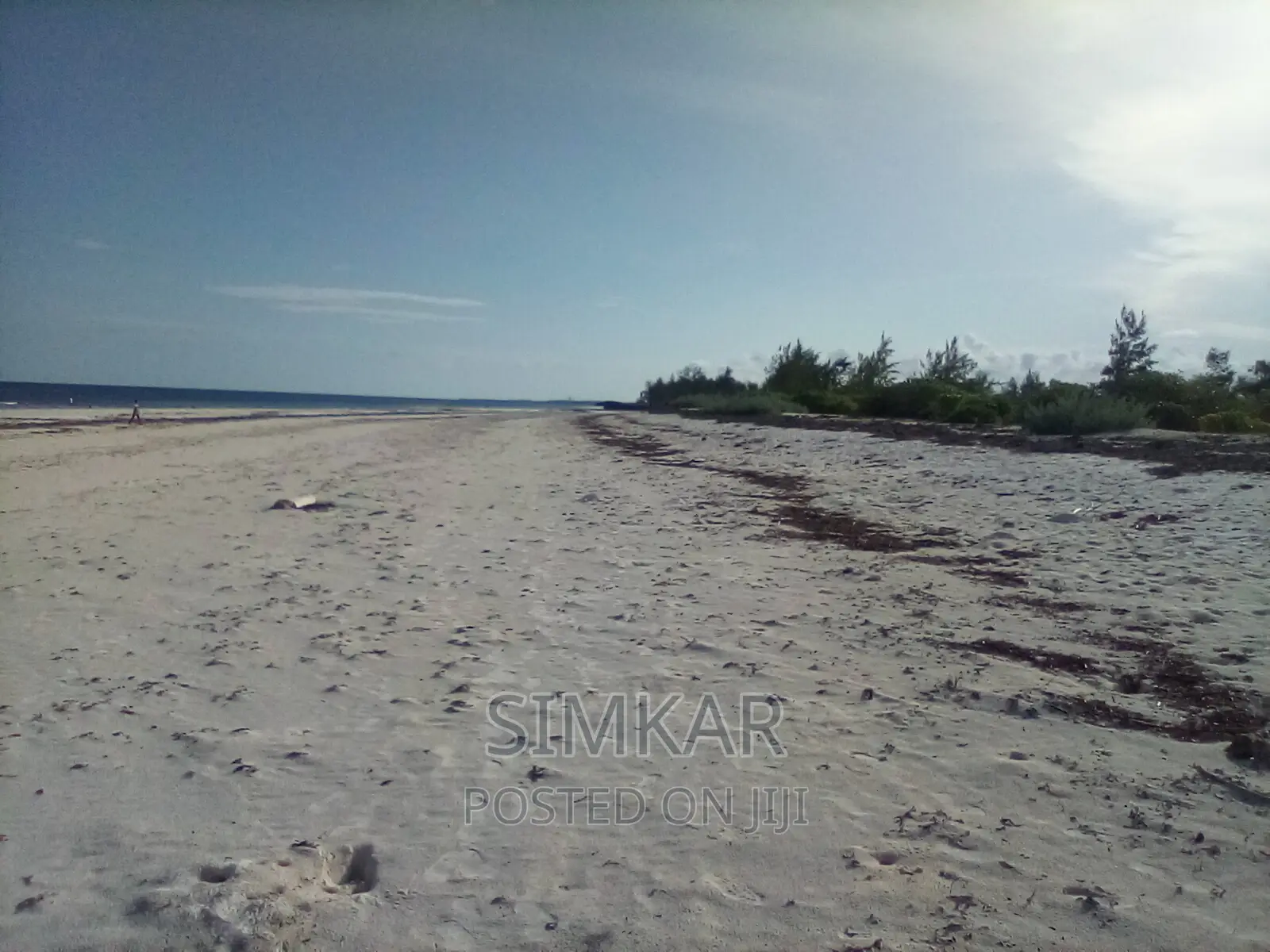 Exquisite 50-Acre Beachfront Property in Bofa - Up for Sale in Kilifi Town