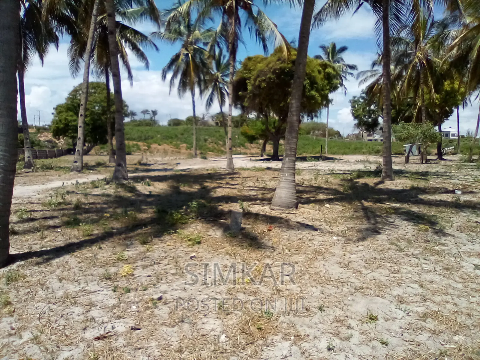 Luxurious 20-Acre Beachfront Property for Sale in Kikambala in Mtwapa