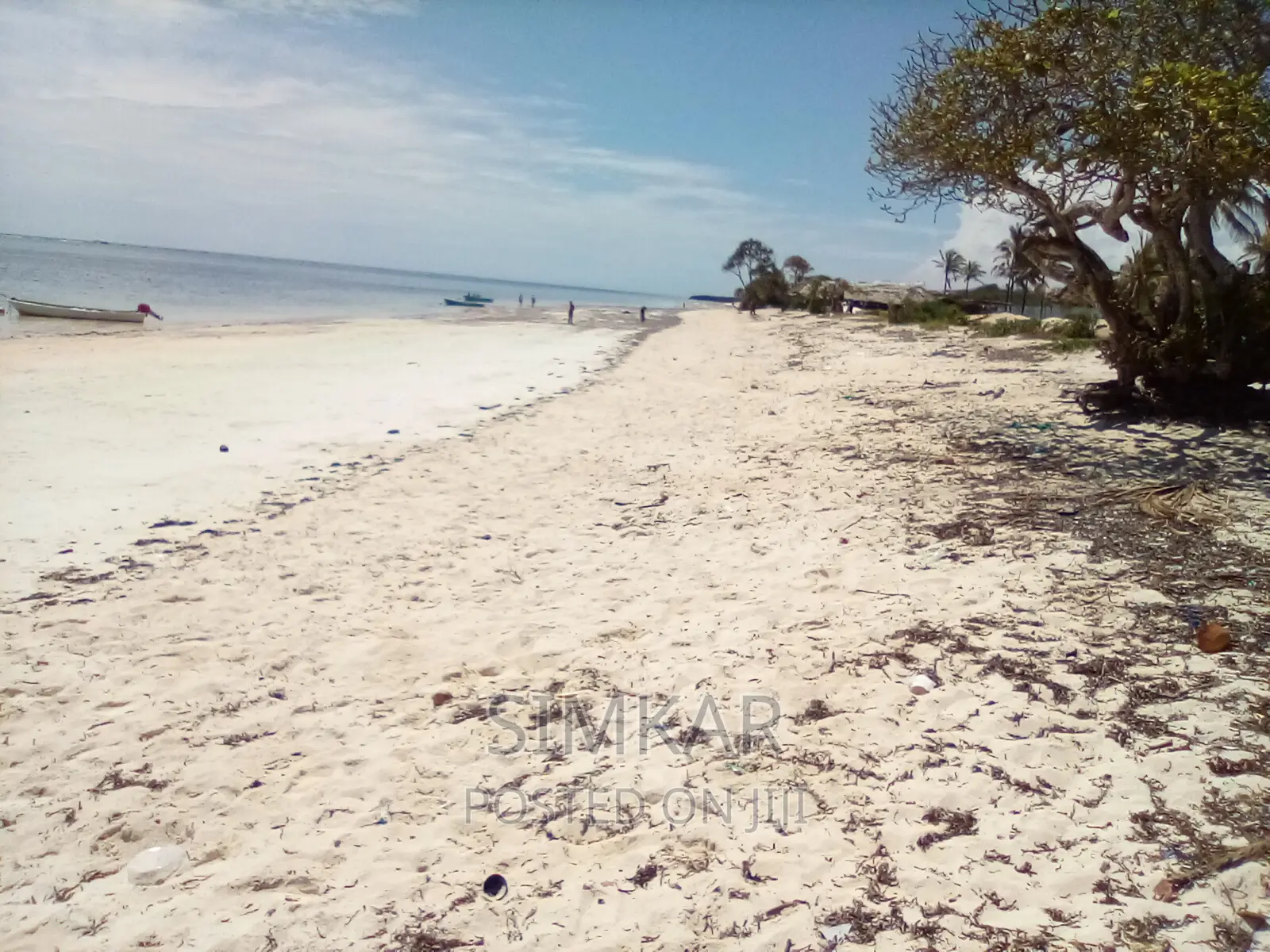 Luxurious 20-Acre Beachfront Property for Sale in Kikambala in Mtwapa