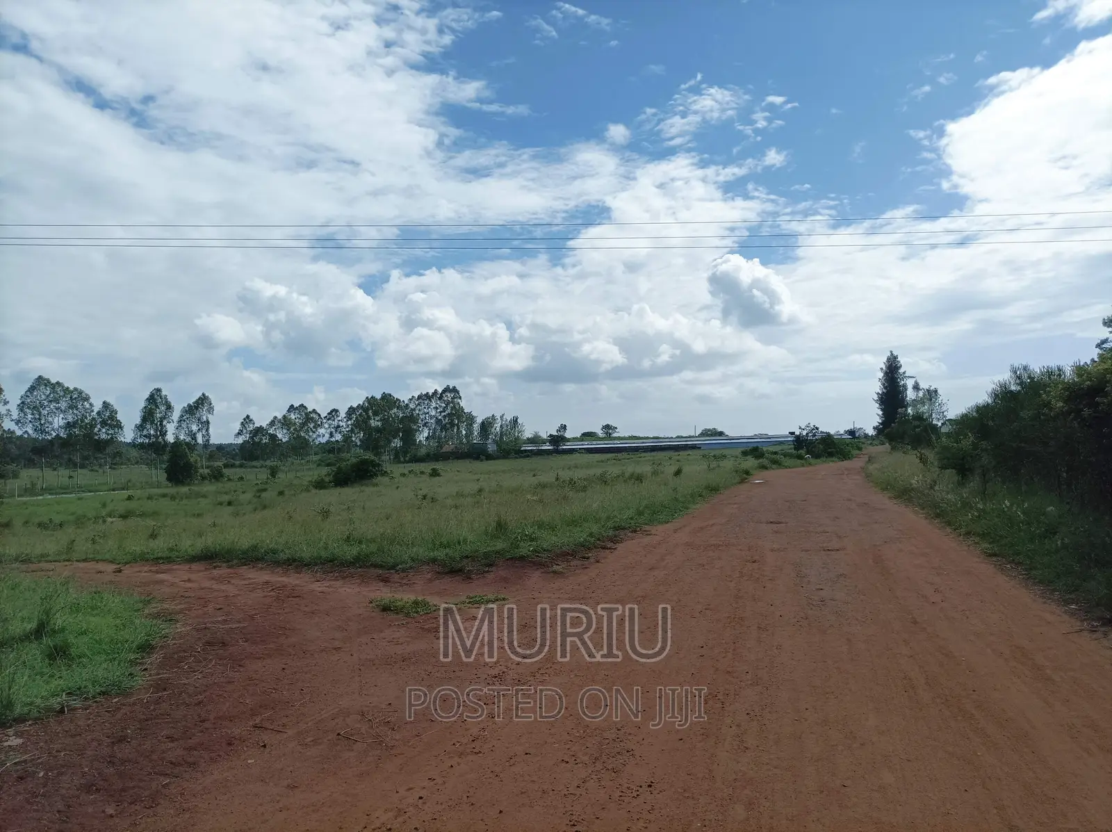 Prime Red Soil Farmland (178 Acres) for Sale in Makuyu, Kenya in Makuyu