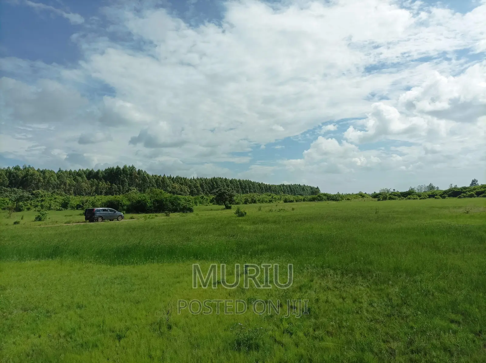 Prime Red Soil Farmland (178 Acres) for Sale in Makuyu, Kenya in Makuyu