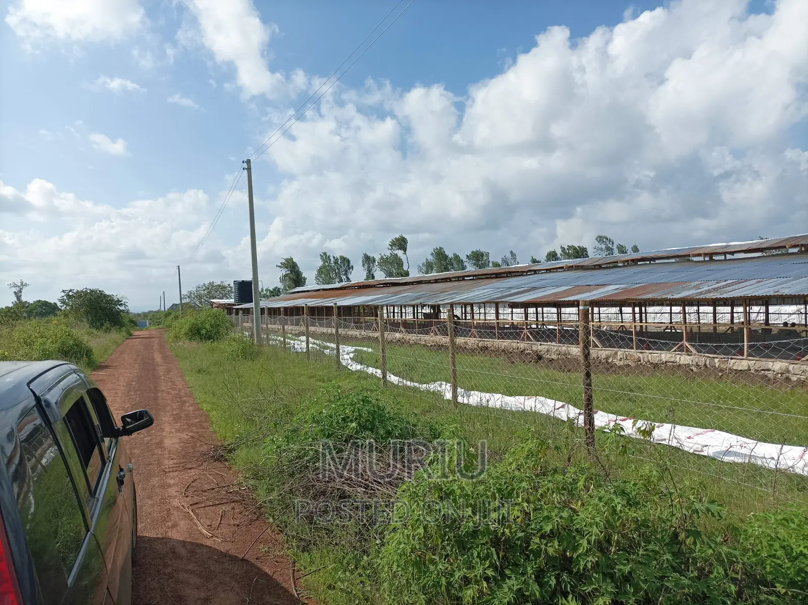 Prime Red Soil Farmland (178 Acres) for Sale in Makuyu, Kenya in Makuyu