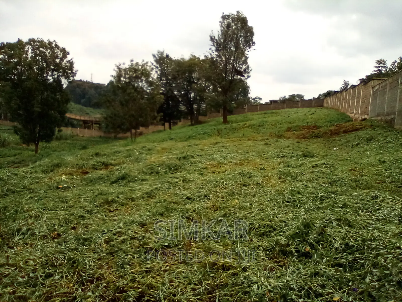 0.5-Acre Plots for Sale in Rosslyn - Perfect for Your Next Project! in Rosslyn