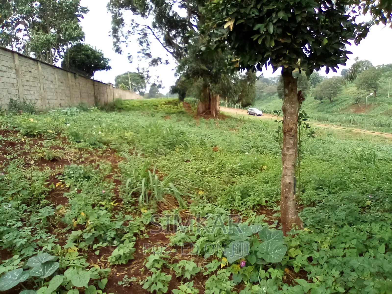 0.5-Acre Plots for Sale in Rosslyn - Perfect for Your Next Project! in Rosslyn
