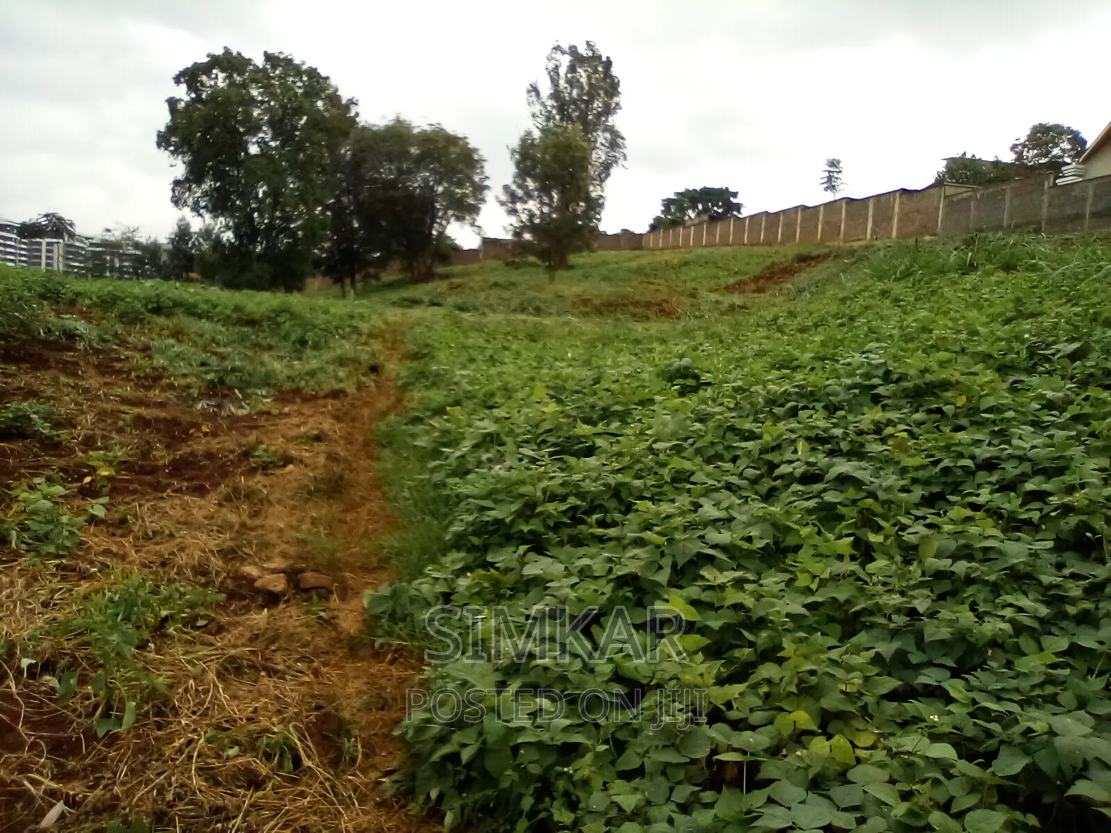 0.5-Acre Plots for Sale in Rosslyn - Perfect for Your Next Project! in Rosslyn