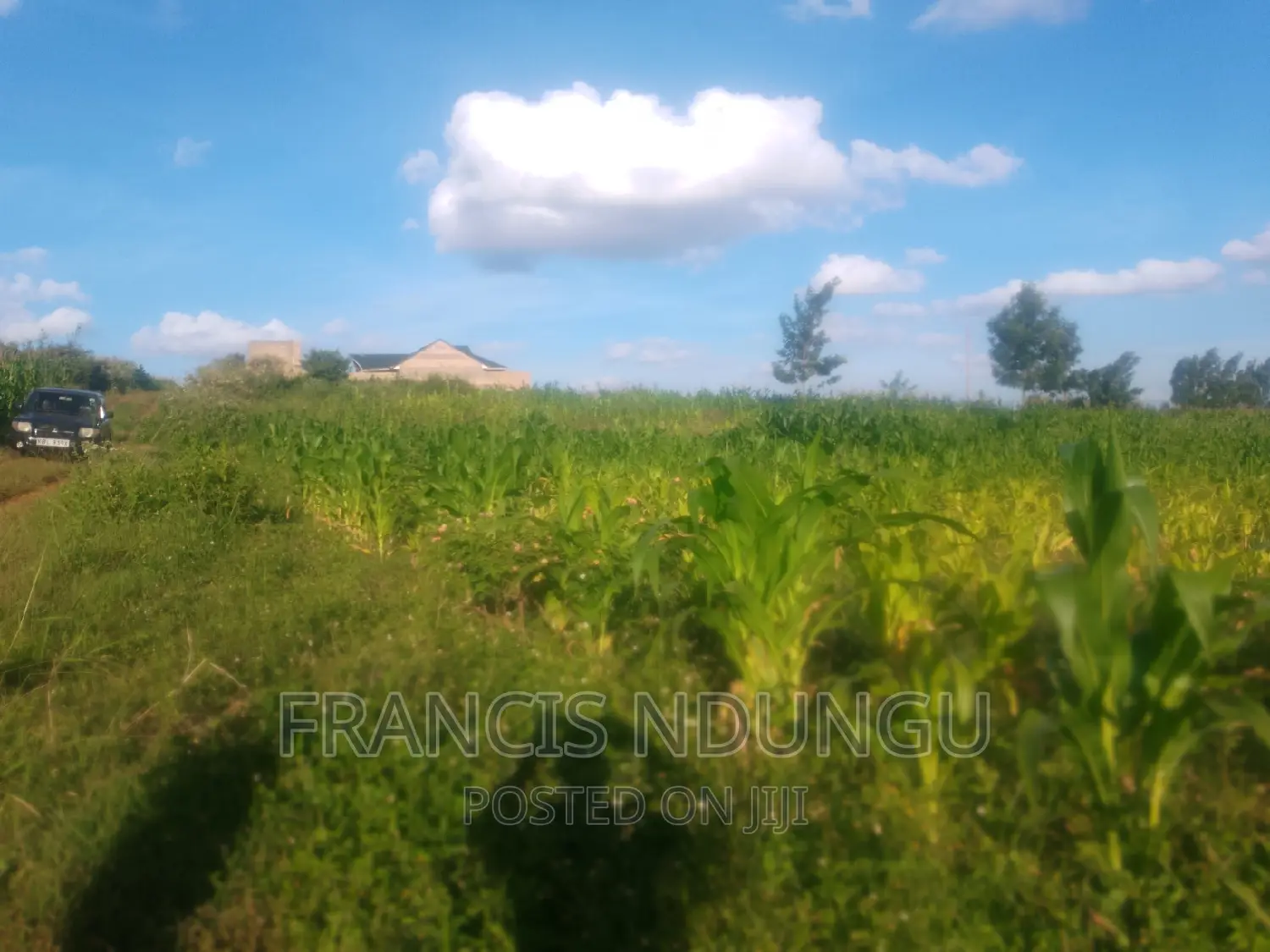 Residential Plots for Sale Tinganga Kiora Estate Kiambu. in Tinganga