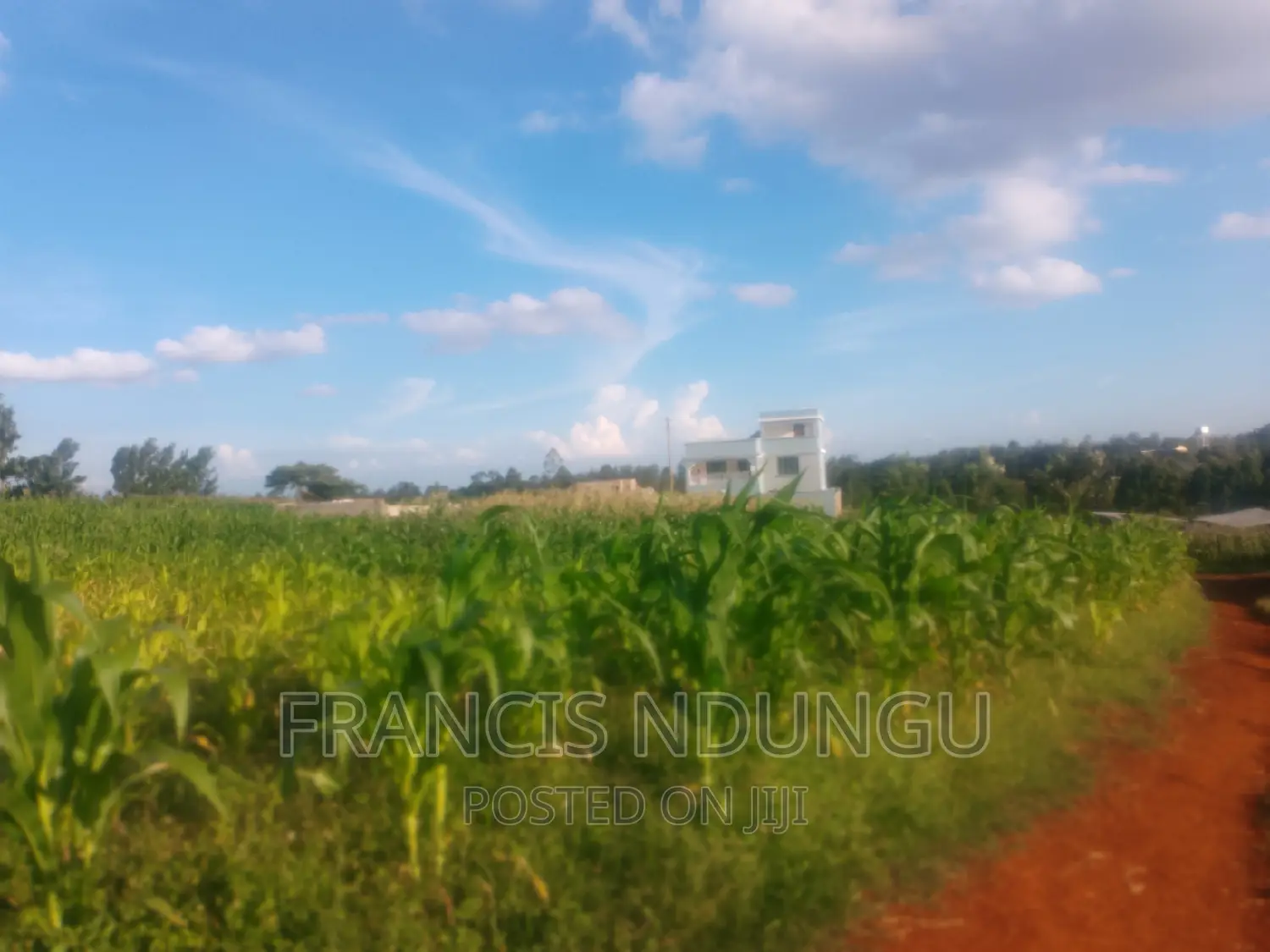 Residential Plots for Sale Tinganga Kiora Estate Kiambu. in Tinganga