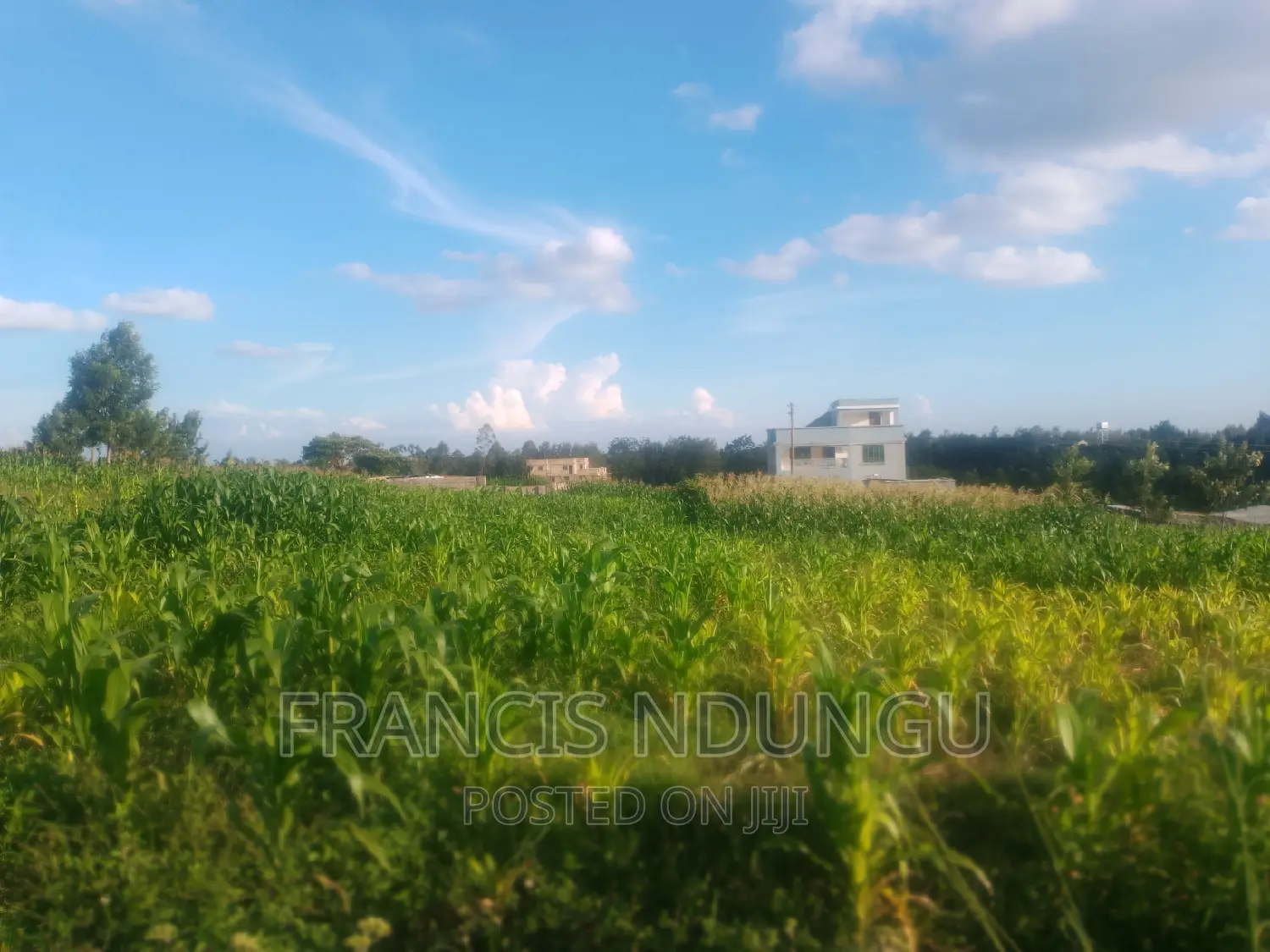 Residential Plots for Sale Tinganga Kiora Estate Kiambu. in Tinganga