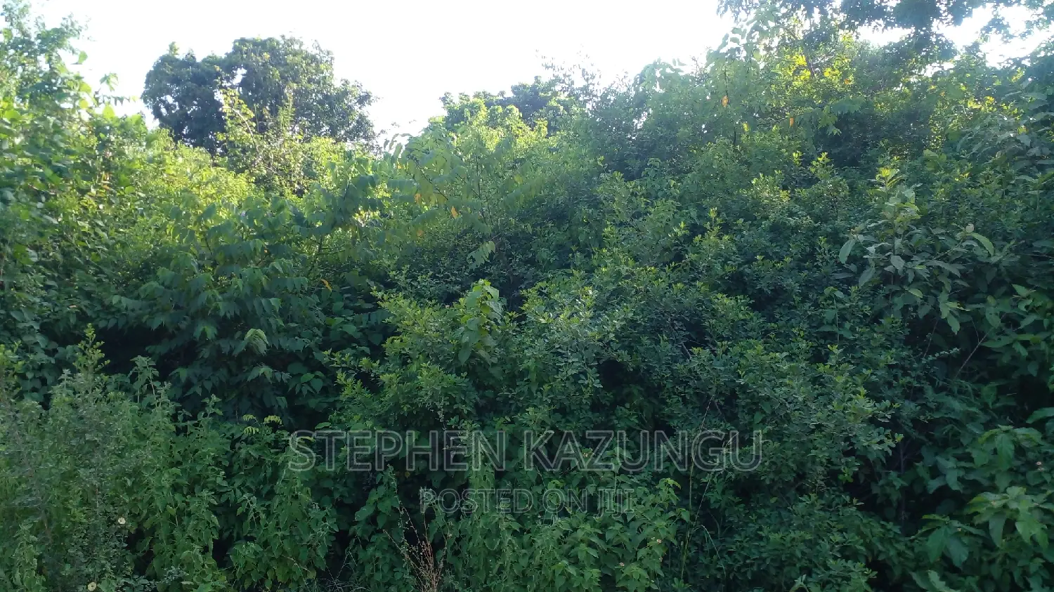 2 Acres in Galu Kinondo Beach on 2nd Beach Row in Ukunda