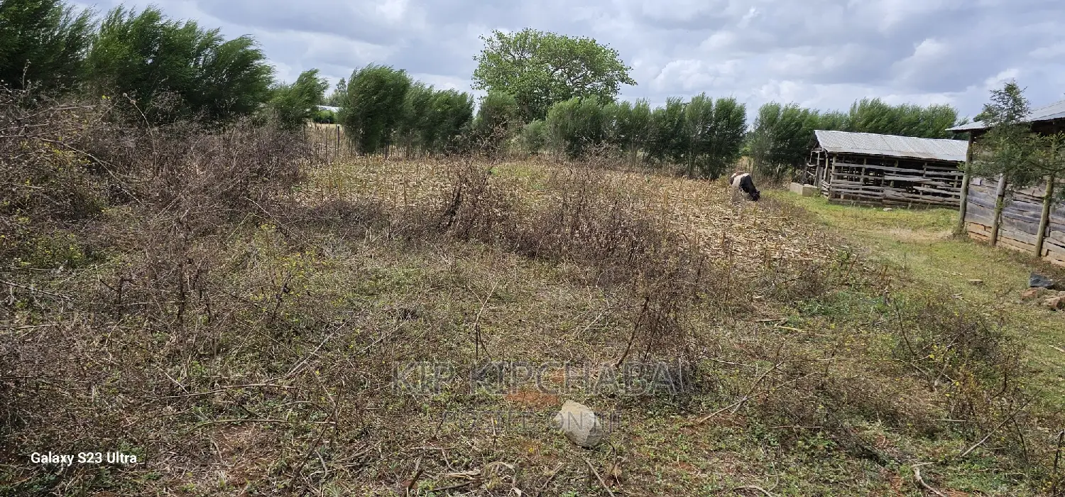 1 Acre Farm Property with Store and Dairy Shed for Sale - Imti Moja Eldoret in Kimumu