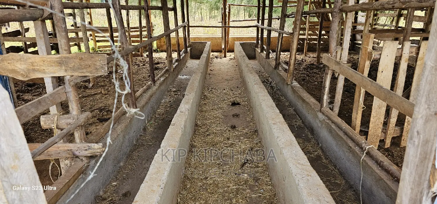 1 Acre Farm Property with Store and Dairy Shed for Sale - Imti Moja Eldoret in Kimumu