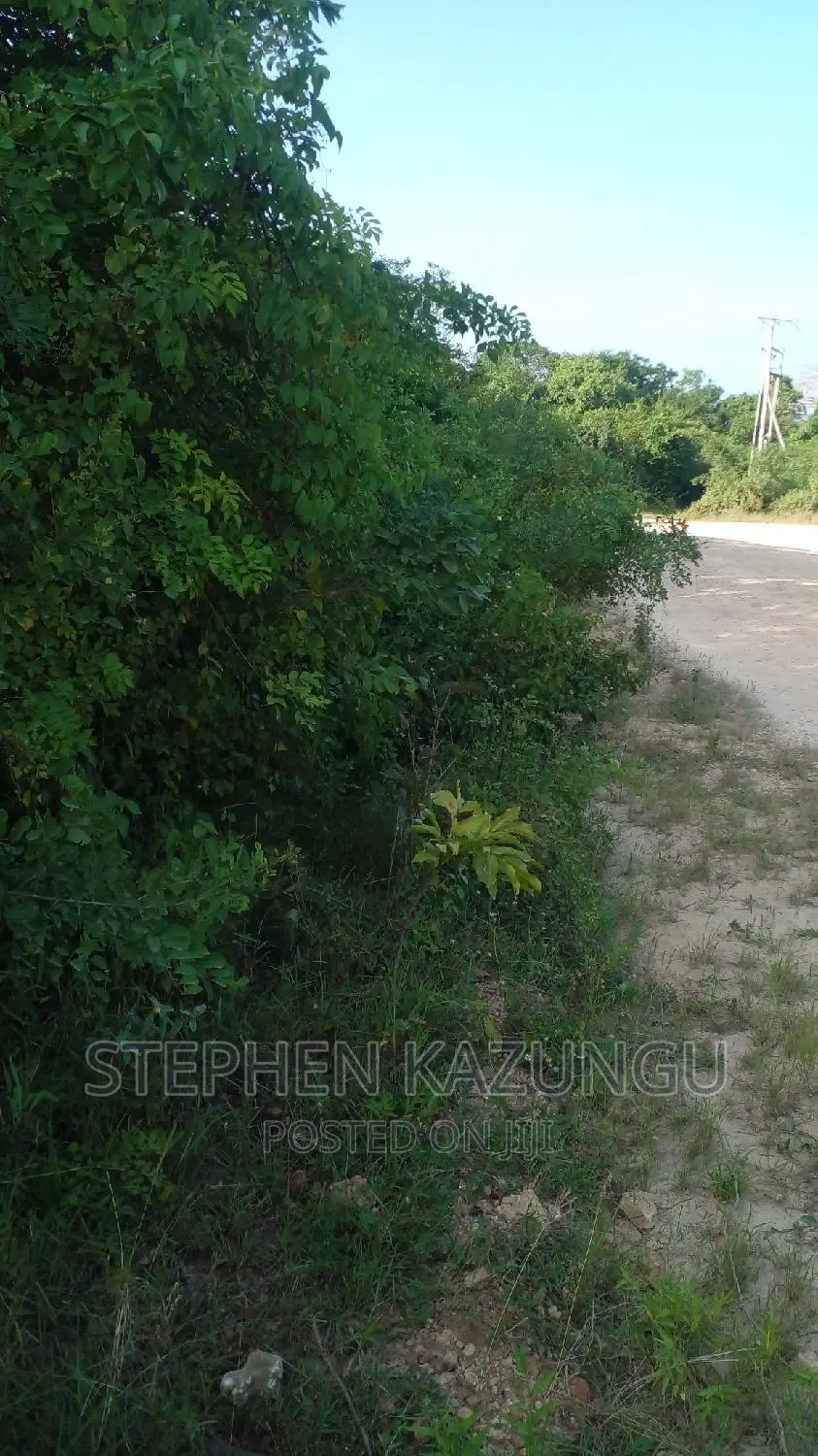 2 Acres in Galu Kinondo Beach on 2nd Beach Row in Ukunda