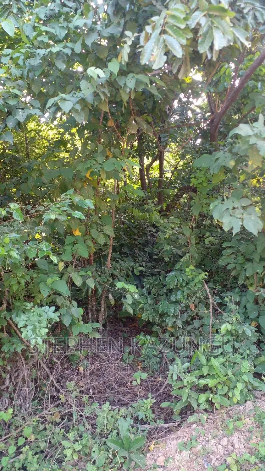 2 Acres in Galu Kinondo Beach on 2nd Beach Row in Ukunda
