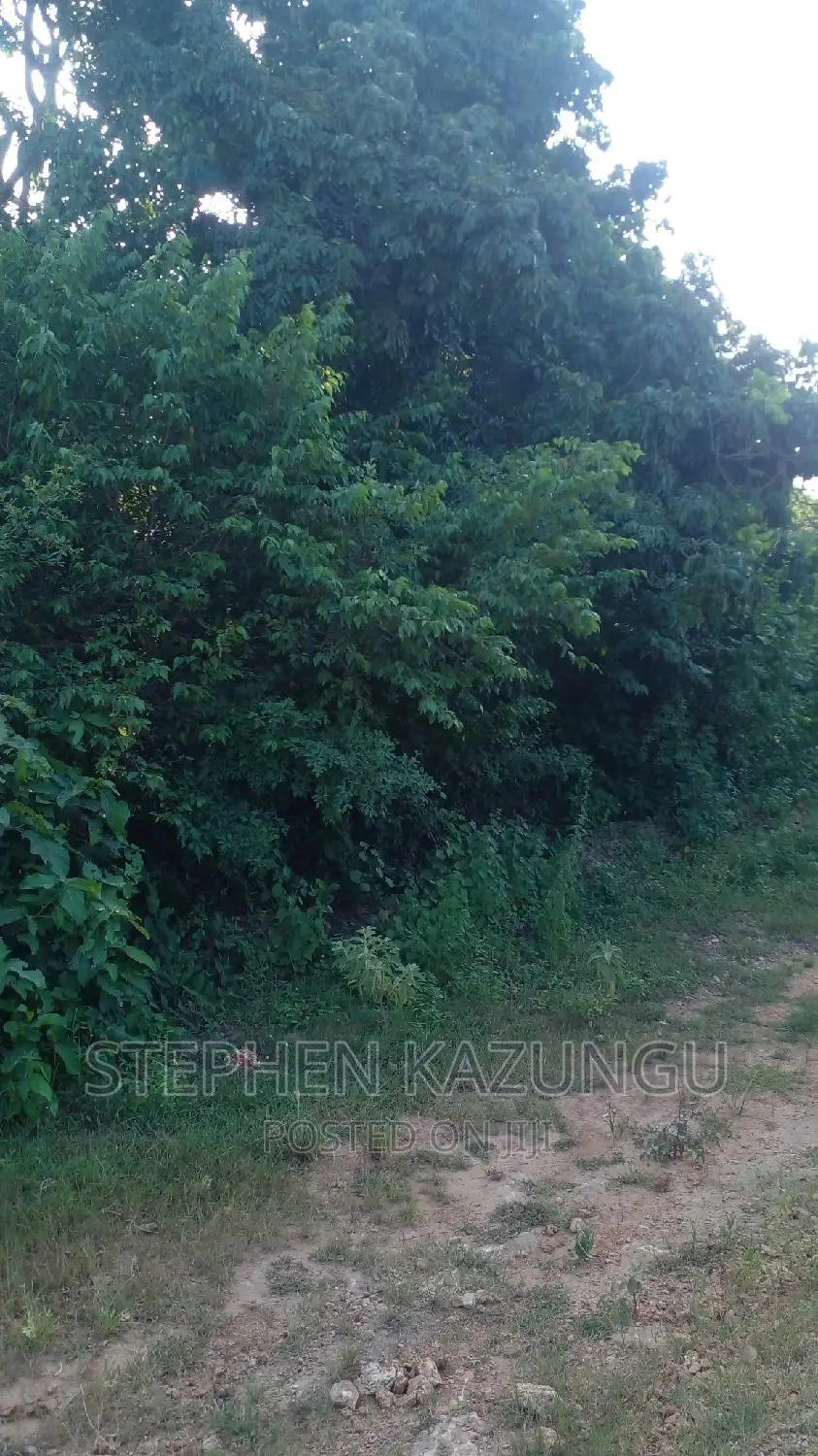 2 Acres in Galu Kinondo Beach on 2nd Beach Row in Ukunda