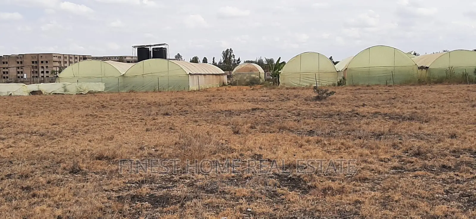 Spacious 1/2 Acre Land for Sale: Prime Location Awaits Your Dream Property in Kitengela