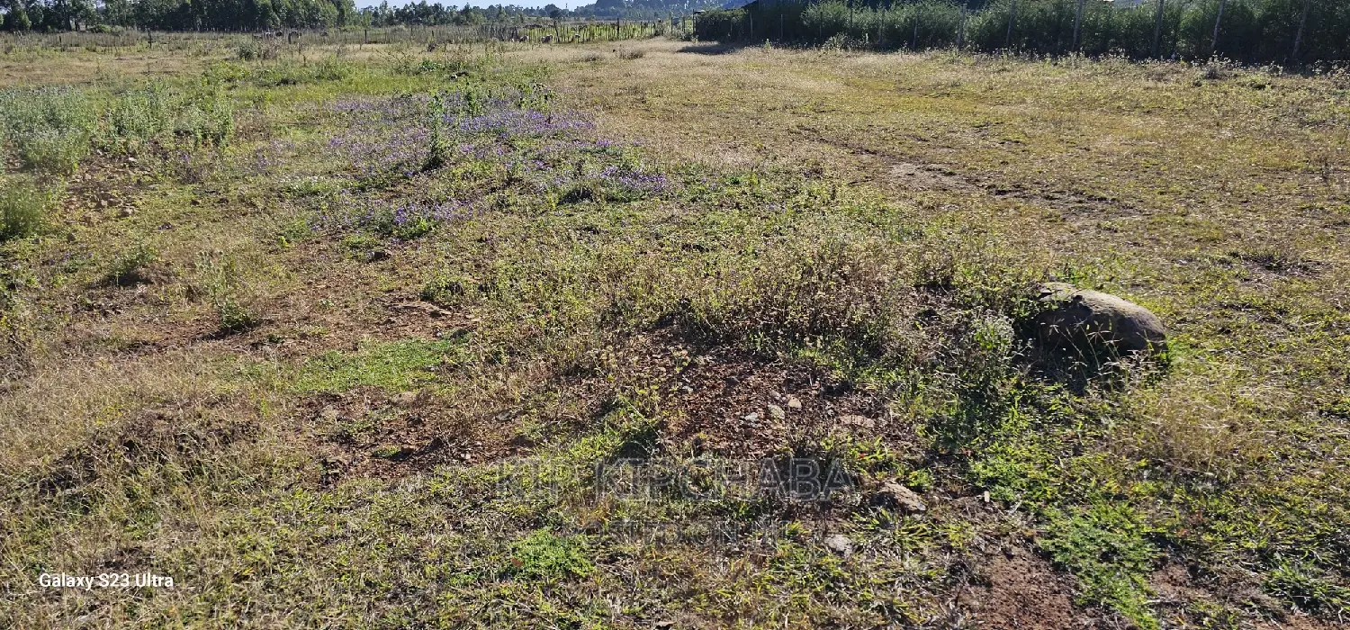 Illula Eldoret: Land Plots for Sale - Seize the Opportunity! in Illula