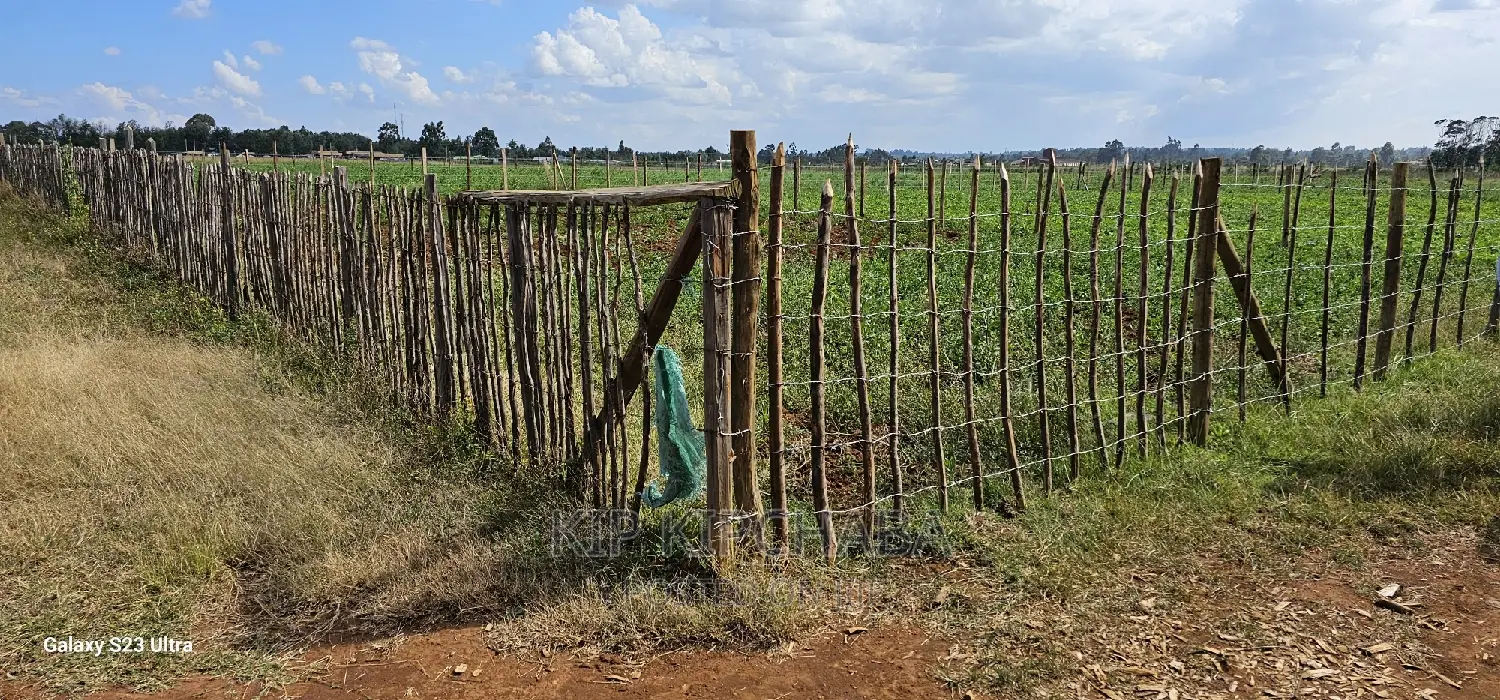 Affordable Land Plots for Sale in Eldoret, Kimumu Marura After Bridge in Kimumu