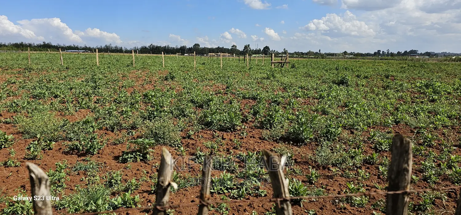 Affordable Land Plots for Sale in Eldoret, Kimumu Marura After Bridge in Kimumu