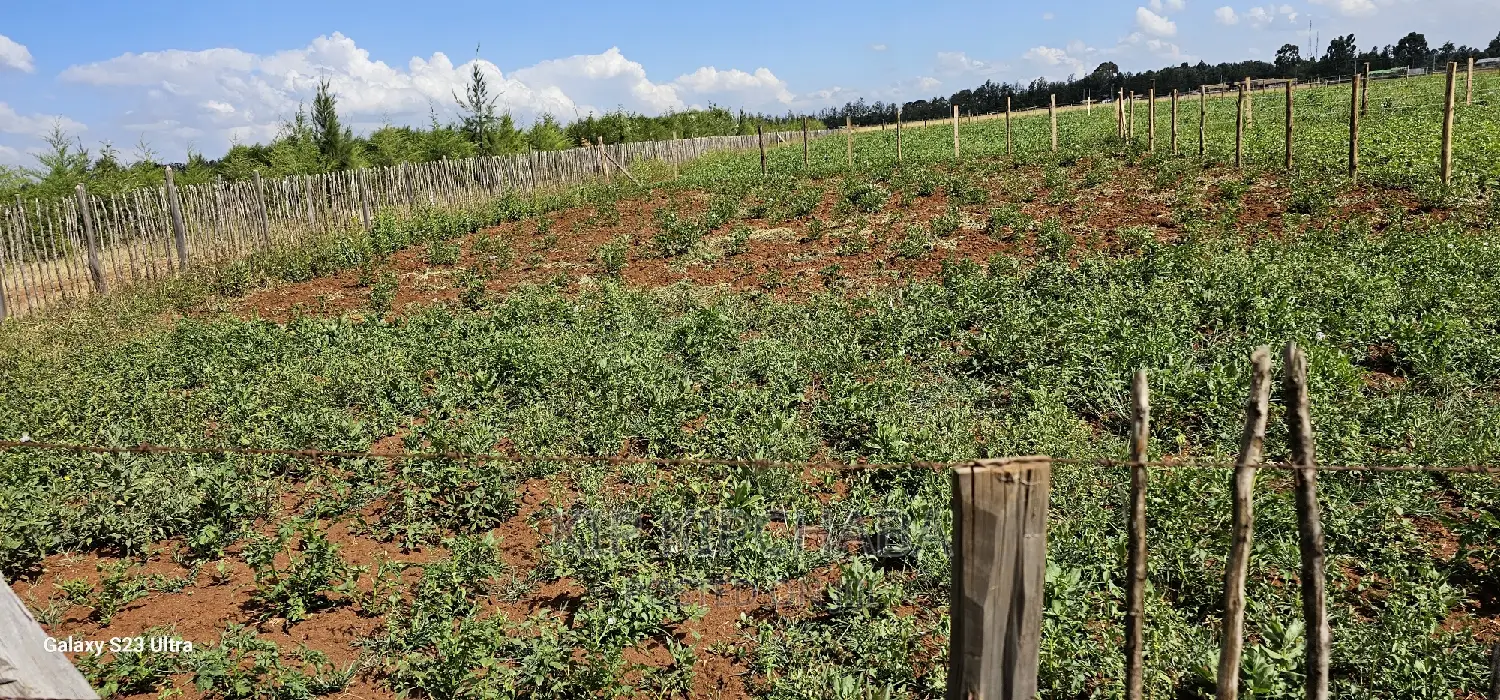 Affordable Land Plots for Sale in Eldoret, Kimumu Marura After Bridge in Kimumu