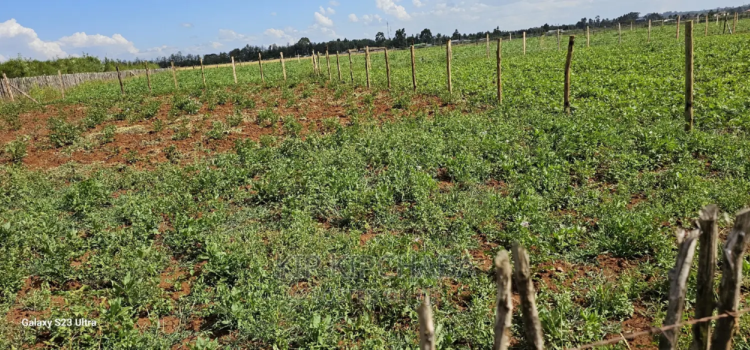 Affordable Land Plots for Sale in Eldoret, Kimumu Marura After Bridge in Kimumu