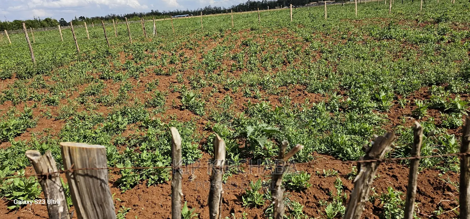 Affordable Land Plots for Sale in Eldoret, Kimumu Marura After Bridge in Kimumu