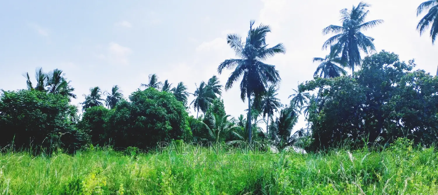 18-Acre Farm: Ideal Investment in Agricultural Real Estate in Ramisi