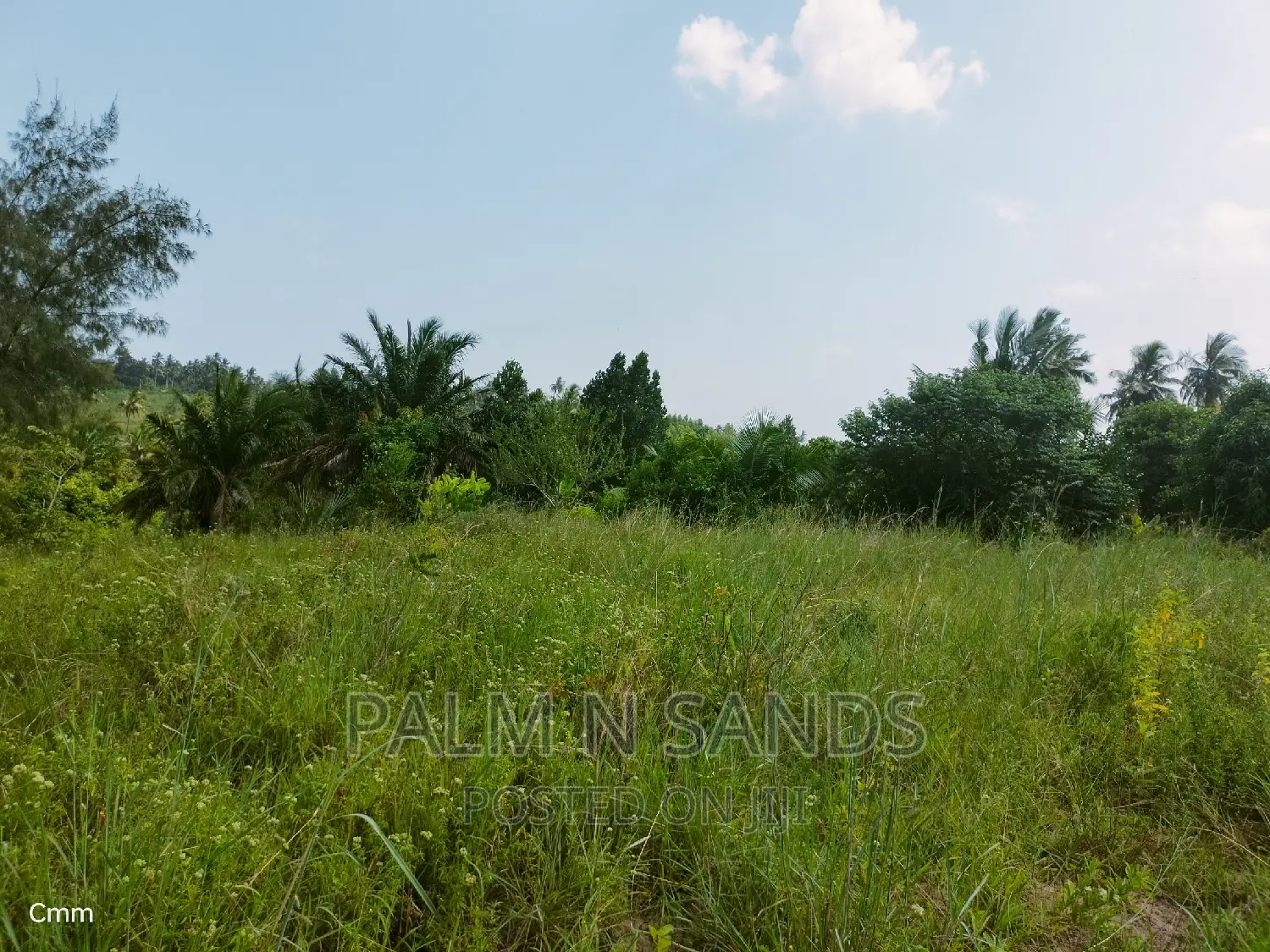 18-Acre Farm: Ideal Investment in Agricultural Real Estate in Ramisi
