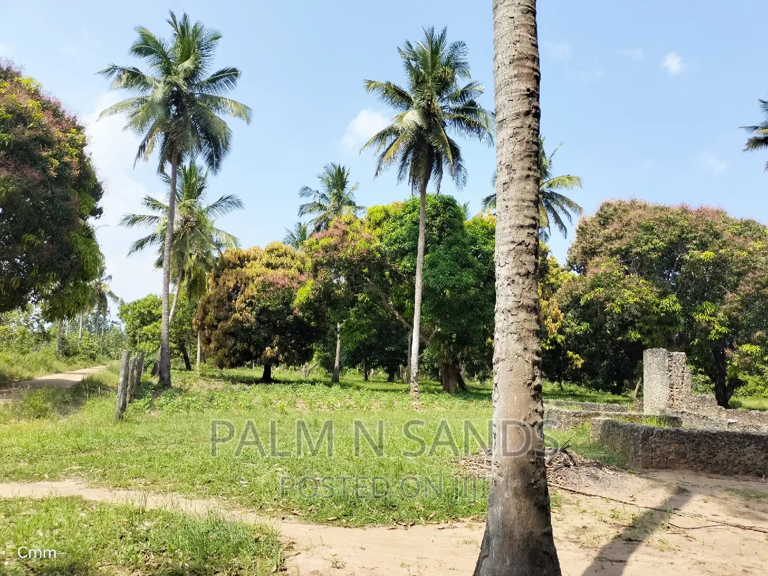 18-Acre Farm: Ideal Investment in Agricultural Real Estate in Ramisi
