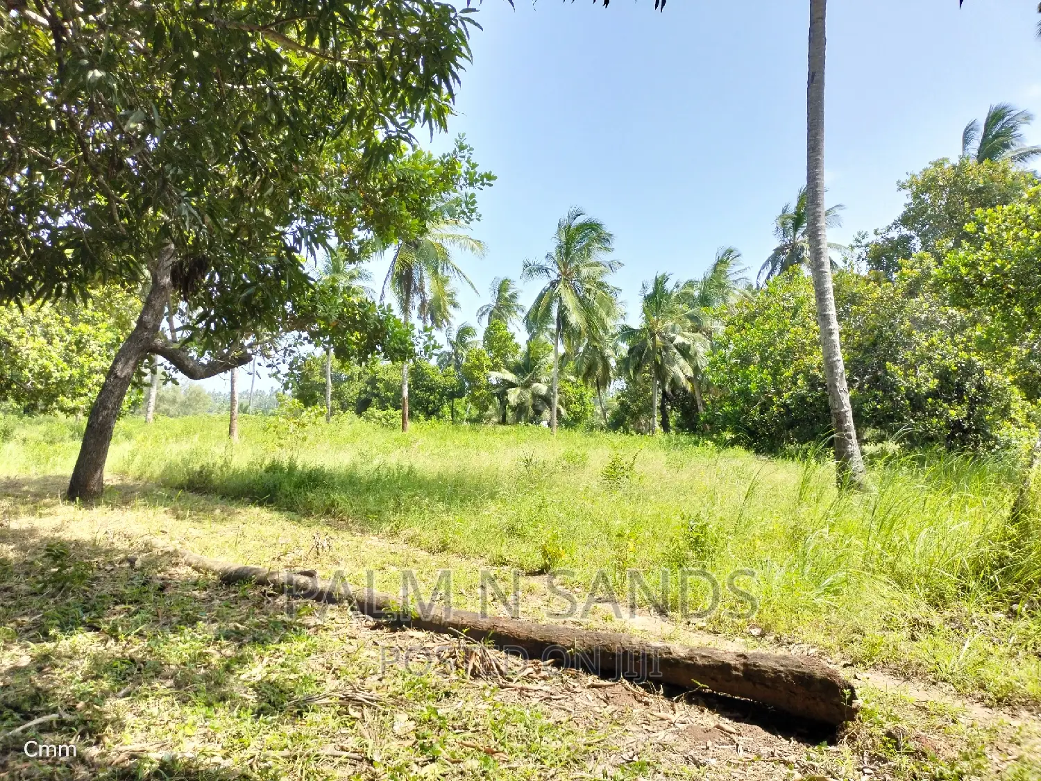 18-Acre Farm: Ideal Investment in Agricultural Real Estate in Ramisi