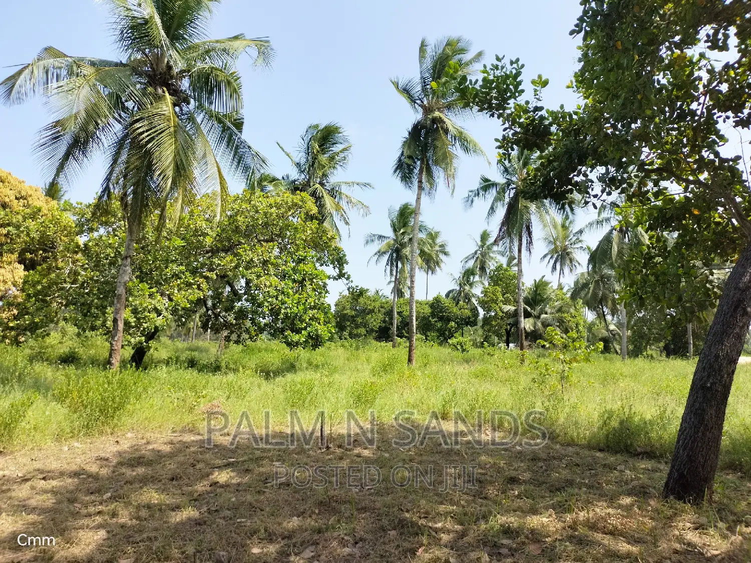 18-Acre Farm: Ideal Investment in Agricultural Real Estate in Ramisi
